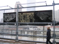 IMG0339_Zn.jpg