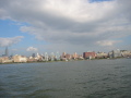 IMG0368_Zn.jpg
