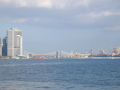 IMG0382_Zn.jpg