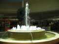 IMG2046resize_Vye.jpg