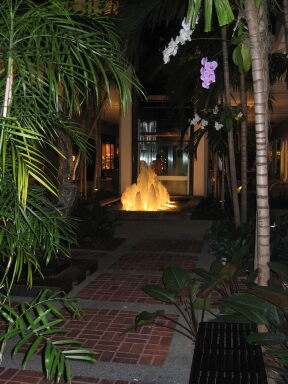 IMG2112_Zn.jpg