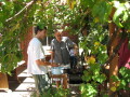 IMG3550_Zn.jpg