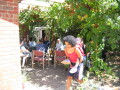 IMG3553_Zn.jpg