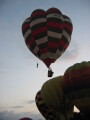 IMG3642_Zn.jpg