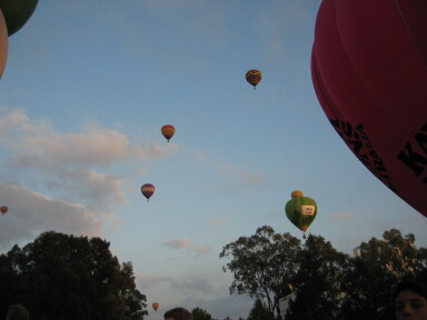 IMG3654_Zn.jpg