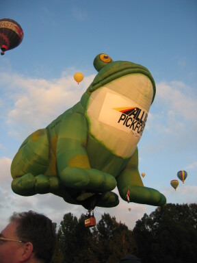 IMG3659_Zn.jpg