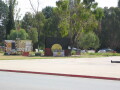 IMG3676_Zn.jpg