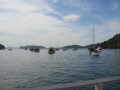 IMG3860_Zn.jpg