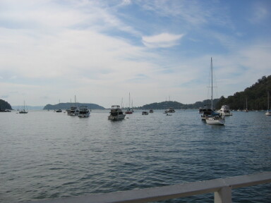 IMG3860_Zn.jpg