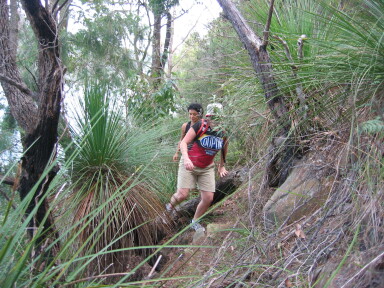 IMG3878_Zn.jpg