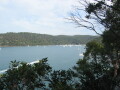 IMG3882_Zn.jpg