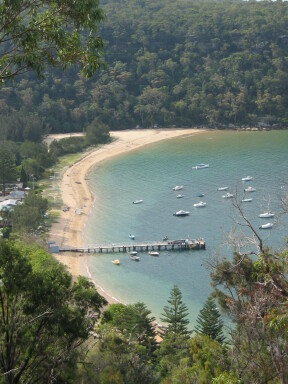 IMG3900_Zn.jpg