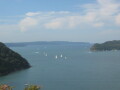 IMG3901_Zn.jpg