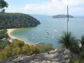IMG3903_Zn.jpg