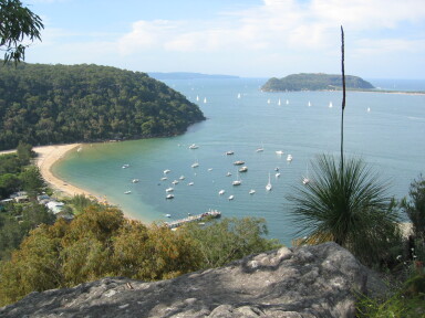 IMG3903_Zn.jpg