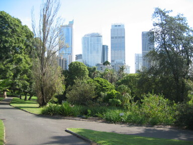 IMG3915_Zn.jpg