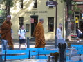 IMG3938_Zn.jpg