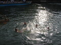 IMG6530_Zn.jpg
