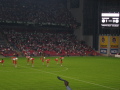 IMG6557_Zn.jpg