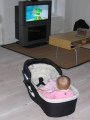 IMG7068_Zn.jpg