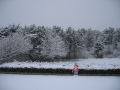 IMG7133_Zn.jpg