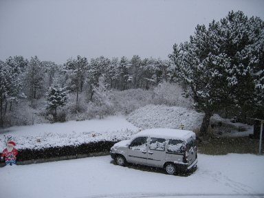 IMG7134_Zn.jpg