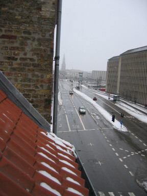 IMG7227_Zn.jpg