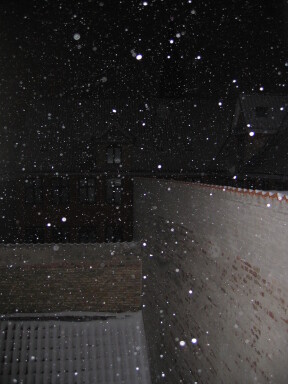 IMG7265_Zn.jpg