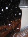 IMG7270_Zn.jpg