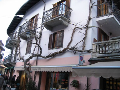 IMG7345_Zn.jpg
