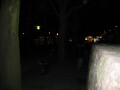 IMG7487_Zn.jpg