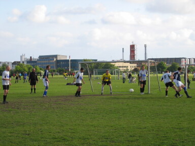 IMG7777_Zn.jpg