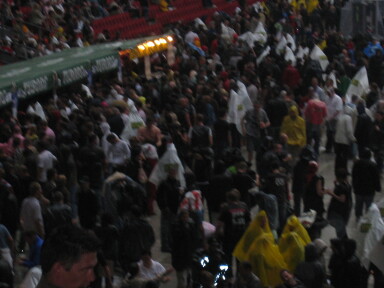 IMG8021_Zn.jpg