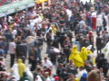 IMG8022_Zn.jpg