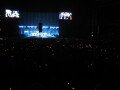 IMG8080_Zn.jpg