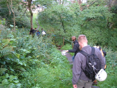 IMG8236_Zn.jpg