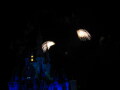 IMG8879resize_Vye.jpg