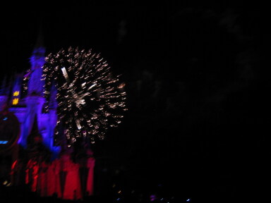 IMG8885resize_Vye.jpg