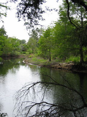 IMG8929_Zn.jpg
