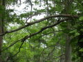 IMG8934_Zn.jpg