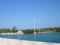 IMG8947_Zn.jpg