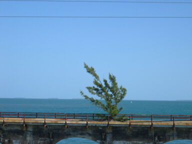 IMG8959_Zn.jpg