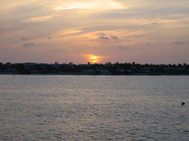IMG8990_Zn.jpg