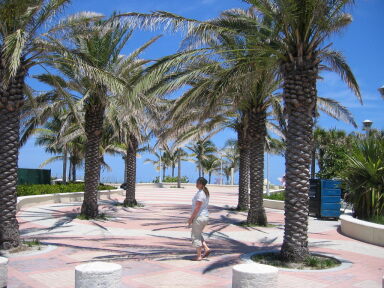 IMG9047_Zn.jpg