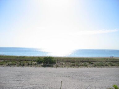 IMG9064_Zn.jpg