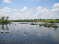 IMG9097_Zn.jpg