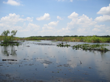 IMG9097_Zn.jpg