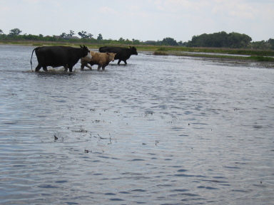 IMG9114_Zn.jpg