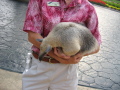 IMG9181_Zn.jpg