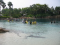 IMG9192_Zn.jpg